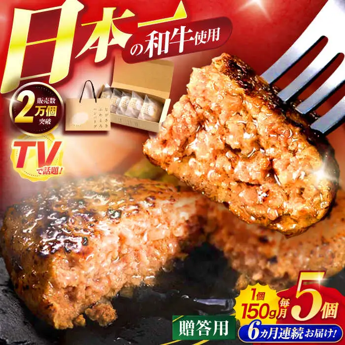 【6回定期便】ながさきふわとろハンバーグ 150g×5個入 【贈答用】 / ハンバーグ はんばーぐ 肉 牛肉 豚肉 おかず 惣菜 定期便 / 諫早市 / ワールド・ミート有限会社 [AHBG003]