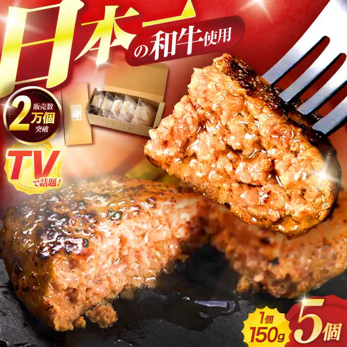 ながさきふわとろハンバーグ 150g×5個入 / ハンバーグ はんばーぐ 肉 牛肉 豚肉 おかず 惣菜 / 諫早市 / ワールド・ミート有限会社 [AHBG005]
