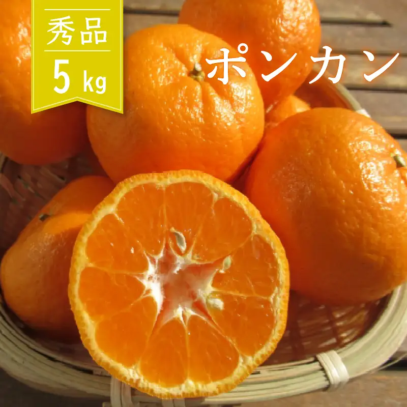 ぽんかん 秀品 5kg 早期受付開始 2027年1月中旬～発送 