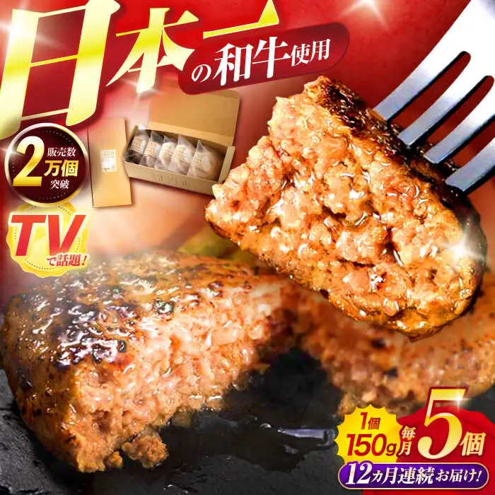 【12回定期便】ながさきふわとろハンバーグ 150g×5個入 / ハンバーグ はんばーぐ 肉 牛肉 豚肉 おかず 惣菜 定期便 / 諫早市 / ワールド・ミート有限会社 [AHBG008]