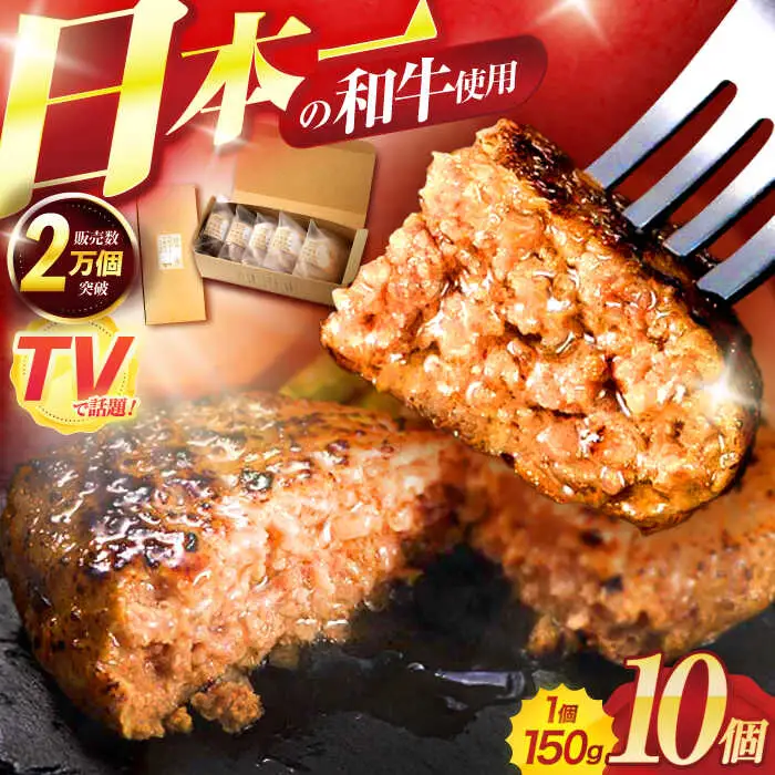 ながさきふわとろハンバーグ 150g×10個入 / ハンバーグ はんばーぐ 肉 牛肉 豚肉 おかず 惣菜 / 諫早市 / ワールド・ミート有限会社 [AHBG009]