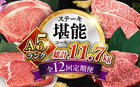 【12回定期便】長崎和牛 A5 ステーキ堪能コース 総計11.7kg / モモ リブロース イチボ サーロイン ランプ ヒレ レモンステーキ / 肉 牛肉 ステーキ 焼肉 / 諫早市 / 野中精肉店 [AHCW086]
