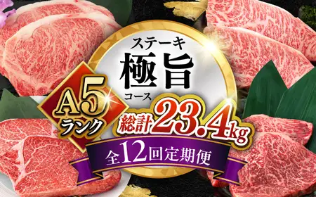 【12回定期便】長崎和牛 A5 ステーキ極旨コース 総計23.4kg / モモ リブロース イチボ サーロイン ランプ ヒレ レモンステーキ / 肉 牛肉 ステーキ 焼肉 / 諫早市 / 野中精肉店 [AHCW087]