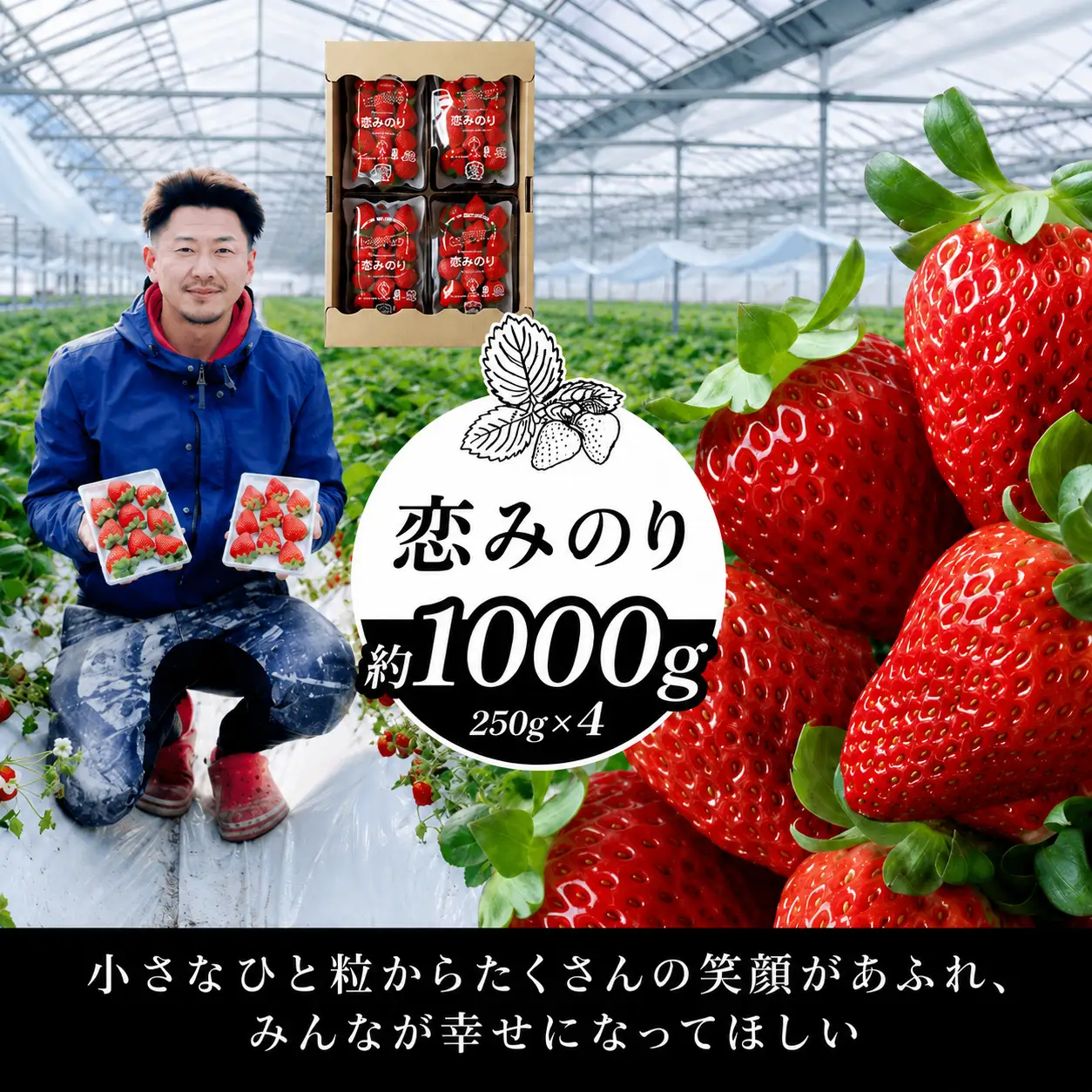 いちご 約1000g 恋みのり | フルーツ 果物 くだもの イチゴ いちご 苺 熊本県 玉名市