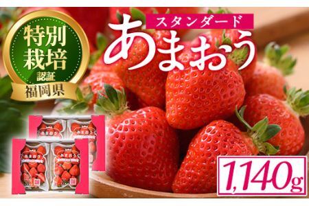 ＜予約受付中！2027年2月より順次発送予定＞うるう農園のスタンダードあまおう(計1.14kg・285g×4P) ふるさと納税 春日市 特産品 苺 いちご イチゴ 果物 フルーツ 国産 福岡県 ヨーグルト ジャム スムージー 冷蔵 特別栽培＜離島配送不可＞【ksg1219】【うるう農園】