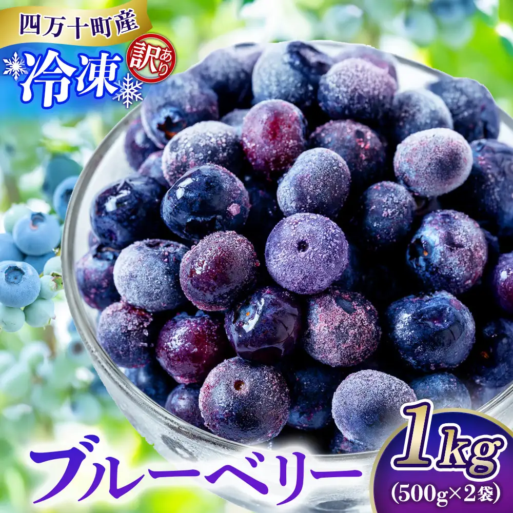 【訳アリ・大容量】シャーベット感覚！四万十町産【冷凍】ブルーベリー1kg／Cvs-11 冷凍ブルーベリー 国産