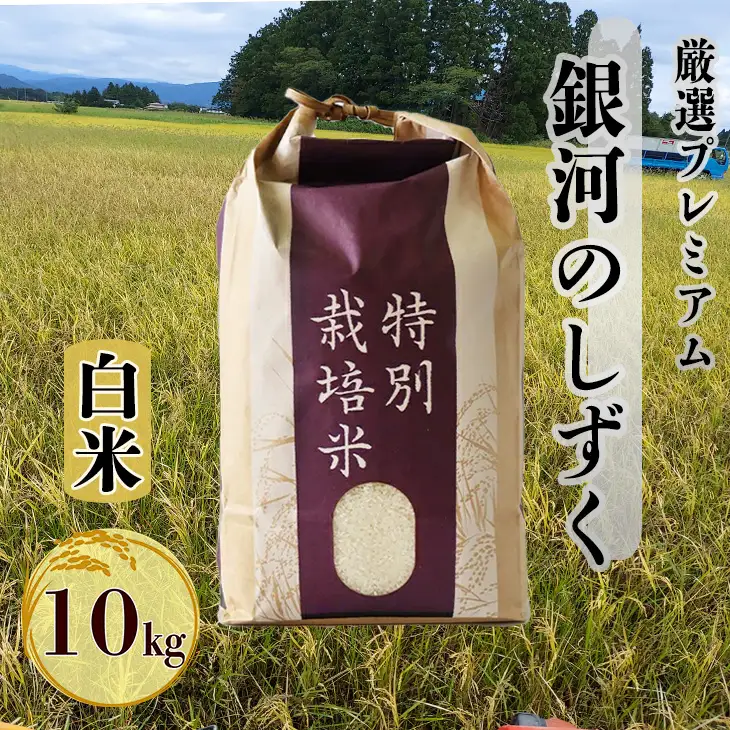 【ふるなび限定】新米 銀河のしずく厳選プレミアム（減農薬・減化学肥料）10kg FN-Limited-PR【1894-FN】
