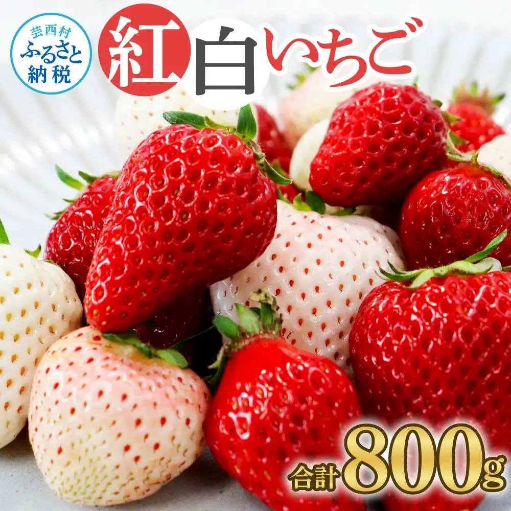 “Berry農園”山本さんの紅白いちご