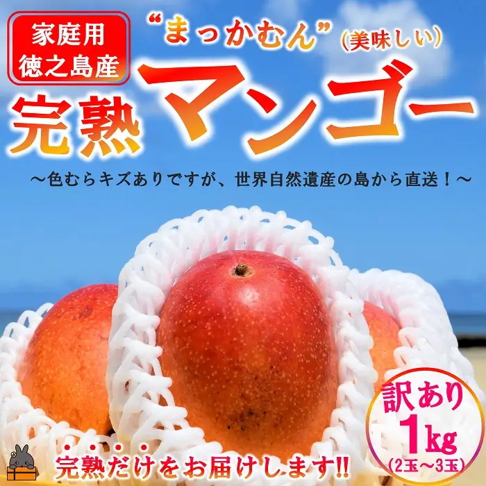 ≪今が旬！≫訳あり！【家庭用】徳之島産完熟マンゴー1kg（2～3玉）フルーツ わけあり 訳あり 果物