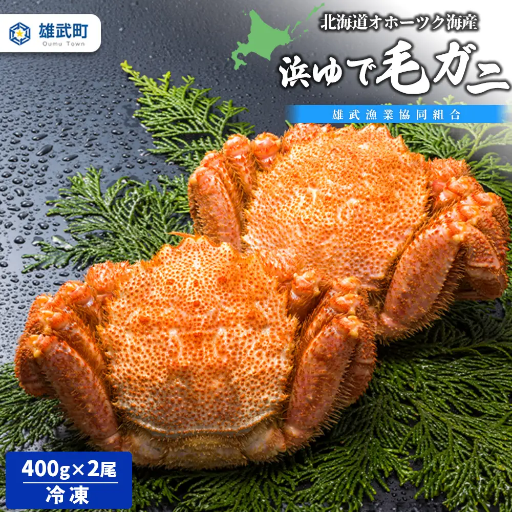 北海道オホーツク海産 浜ゆで毛ガニ400ｇ×2尾（冷凍）【0713101】