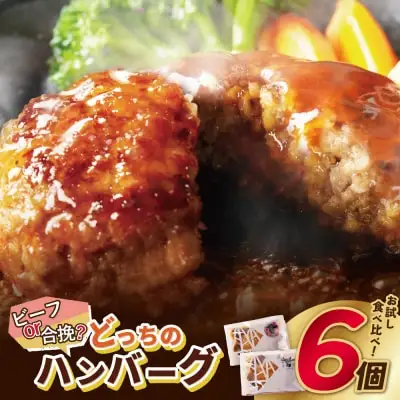 Z61-33 どっちのハンバーグ!?デミグラスソース6個セット（ビーフ・合挽 各3個） ハンバーグ