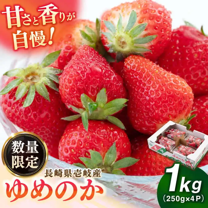 【先行予約】いちご ゆめのか 1kg [JBO138] イチゴ 苺