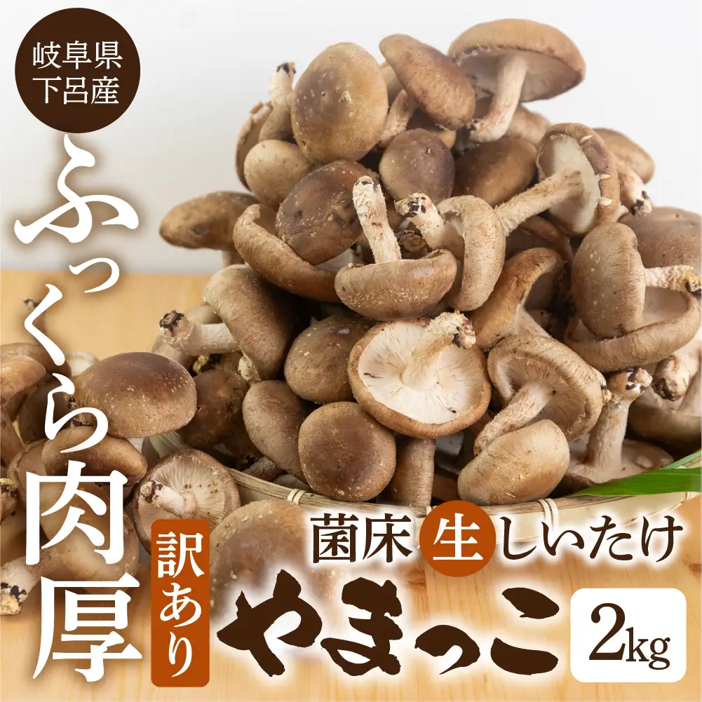 先行予約【期間限定】（2026年11月から順次発送）訳あり 不揃い【期間限定】（2025年11月から順次発送）菌床生椎茸　詰め合わせ 2kg（大・小・形 混合）生椎茸 規格外 訳アリ 【71-6】