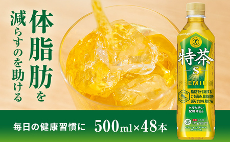 お茶 伊右衛門 特茶 500ml 48本 2ケース お茶