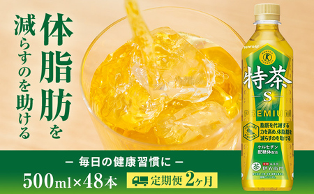 お茶 定期便 2ヶ月 特茶 500ml 48本 お茶