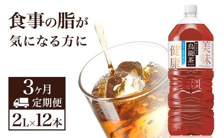 烏龍茶 定期便 3ヶ月 サントリー 2L 12本 烏龍茶