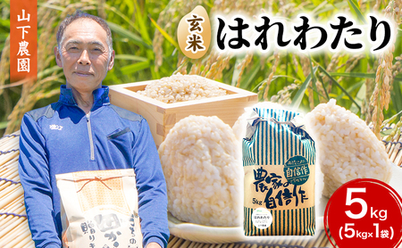 米 令和8年産 はれわたり 玄米 5kg 1袋 こめ お米 おこめ コメ ご飯 ごはん 令和8年 山下農園 青森 青森県