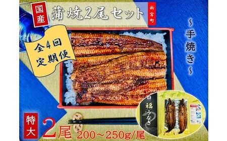 GB008.【全4回定期便】国産うなぎ蒲焼2尾（計400～500g）