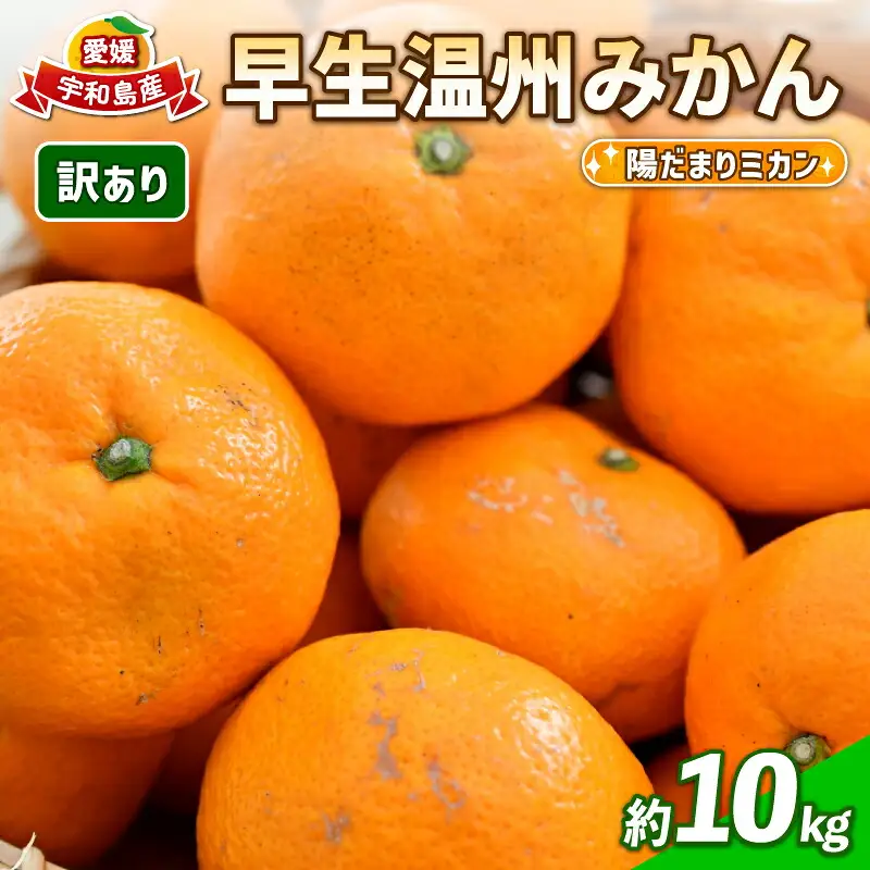 訳あり 愛媛 みかん 早生 温州 10kg 陽だまりミカン ﾐｶﾝﾐｶﾝﾐｶﾝﾐｶﾝﾐｶﾝﾐｶﾝﾐｶﾝ B010-050006