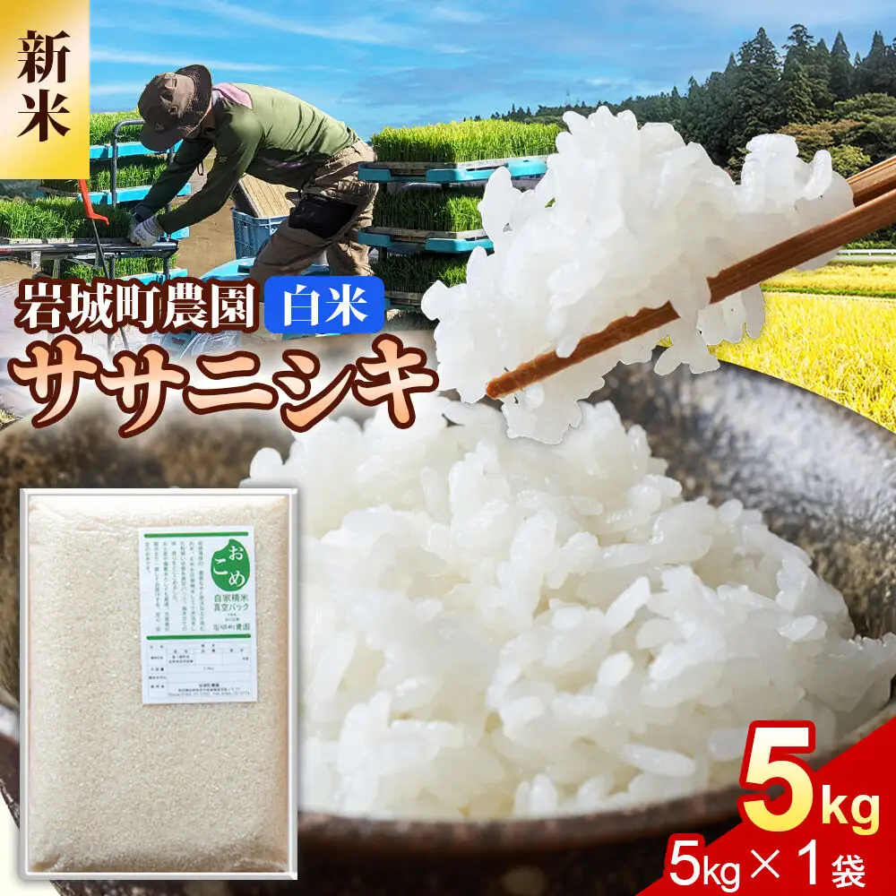 《令和8年産 新米》【白米】ササニシキ 5kg(5kg×1袋) 秋田県 由利本荘市産 真空パック 岩城町農園
