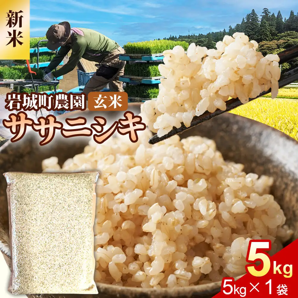 《令和8年産 新米》【玄米】ササニシキ 5kg(5kg×1袋) 秋田県 由利本荘市産 真空パック 岩城町農園