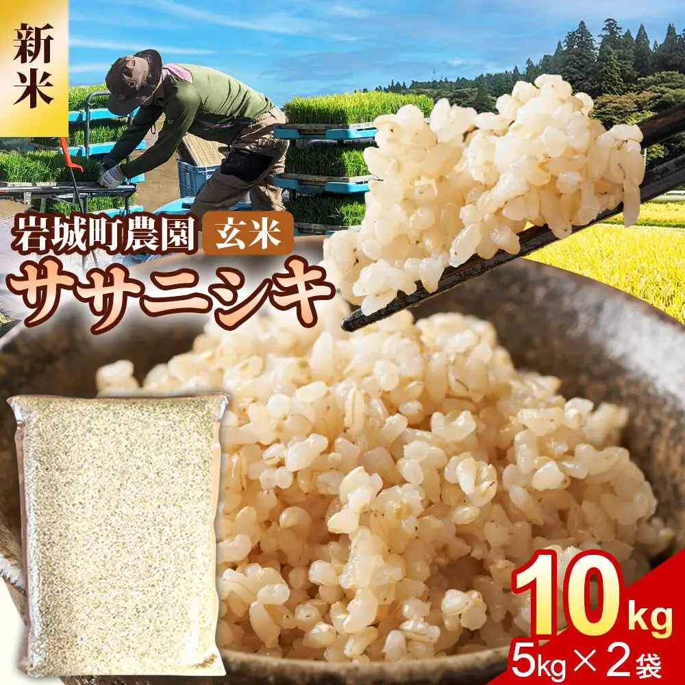 《令和8年産 新米》【玄米】ササニシキ 10kg(5kg×2袋) 秋田県 由利本荘市産 真空パック 岩城町農園