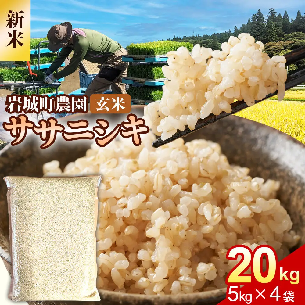 《令和8年産 新米》【玄米】ササニシキ 20kg(5kg×4袋) 秋田県 由利本荘市産 真空パック 岩城町農園