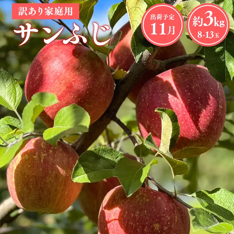 りんご  家庭用 サンふじ約3kg 青森県平川市産 [hi-0038-001-11]