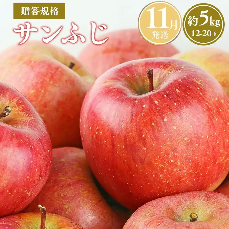 りんご 贈答用 サンふじ約5kg 青森県平川市産 [hi-0038-009-11]