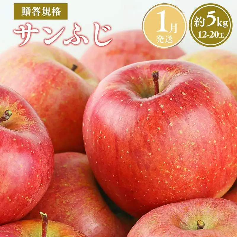 りんご 贈答用 サンふじ 約5kg 青森県平川市産 [hi-0038-009-1]