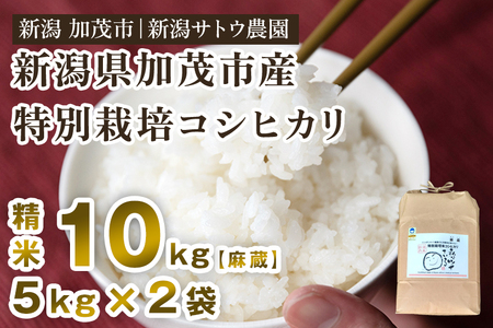 【令和8年産新米先行予約】化学肥料不使用の従来コシヒカリ【麻蔵10kg】 《10月上旬～順次出荷》 新潟県産 新潟産 従来品種 特別栽培 有機肥料で育った厳選米  加茂市 新潟サトウ農園
