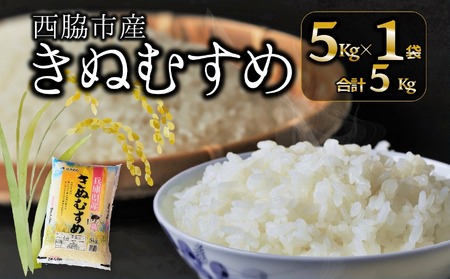 【ブランド米 きぬむすめ】精米５kg（5kg×1袋）／10-104 精米 米 お米 ブランド米 精米 米 お米 ブランド米