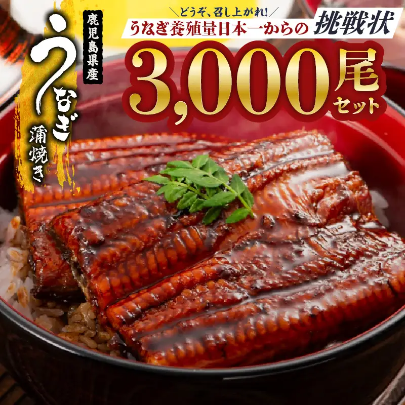  2626 どうぞ、召し上がれ！うなぎ養殖量日本一からの挑戦状！【うなぎ蒲焼き3000尾】 KN058-002-3000 魚 鰻