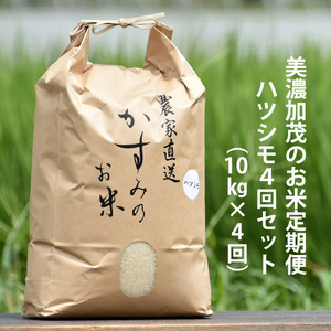 令和6年産米 美濃加茂の お米 定期便（毎月） 4回セット ( 10kg×4回 ) | ハツシモ 春見ライス 米 コメ M80S18