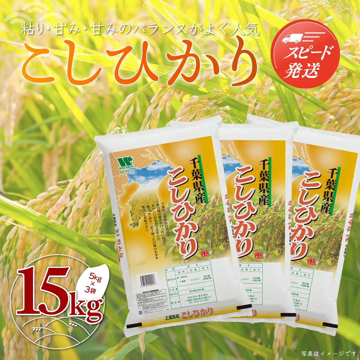 新米 令和8年産 千葉県産「コシヒカリ」15kg（5kg×3袋）お米 15kg 千葉県産 大網白里市 コシヒカリ 米 精米 こめ 送料無料 A049