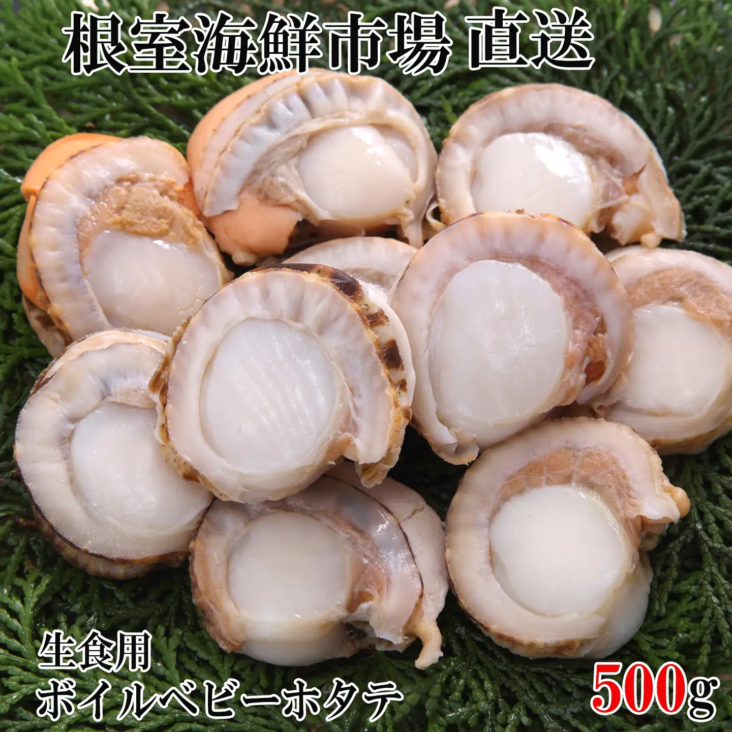 生食用ボイル済ベビーほたて500g(75～100玉) G-14036