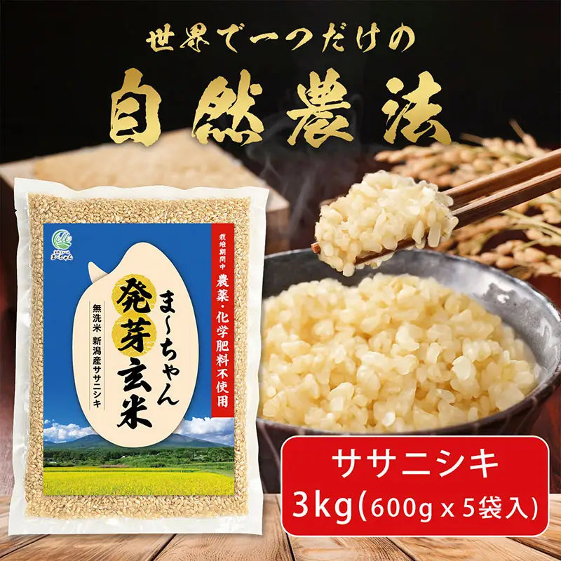 先行予約 発芽玄米 ササニシキ 3kg(600gx5袋)   令和8年 無農薬 新潟県産 発芽玄米