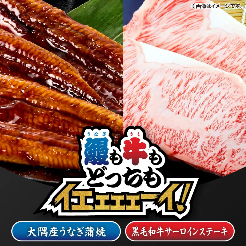 2475 【 鰻 も 牛 もどっちもイエェェェーイ！8】鹿児島県大隅産 うなぎ蒲焼 150g うしの中山サーロインステーキ200g KN050-015 肉 牛肉 左官 冷凍