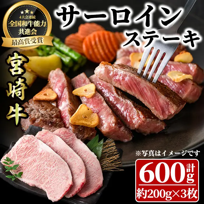 宮崎牛 サーロインステーキ(計600g・約200g×3枚)  牛肉 肉 ブランド牛  冷凍 国産 精肉 お取り寄せ 黒毛和牛 宮崎県 【LJ002】【ローカルブランディング株式会社】
