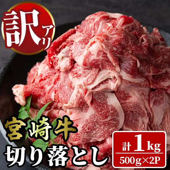 ＜訳あり＞宮崎牛 切り落とし(計1kg・500g×2P) 牛肉 肉 ブランド牛  冷凍 国産 精肉 お取り寄せ 黒毛和牛 宮崎県 【LJ005】【ローカルブランディング株式会社】