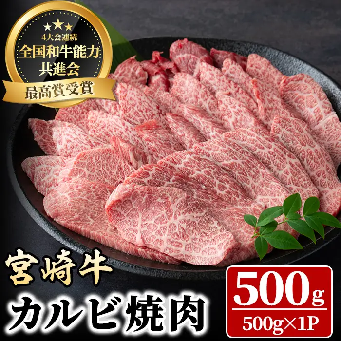 宮崎牛 カルビ焼肉(500g) 牛肉 肉 ブランド牛  冷凍 国産 精肉 お取り寄せ 黒毛和牛 宮崎県 【LJ010】【ローカルブランディング株式会社】