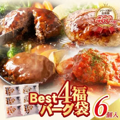 Z61-34 Best4バーグ 4種 6個 セット ハンバーグ