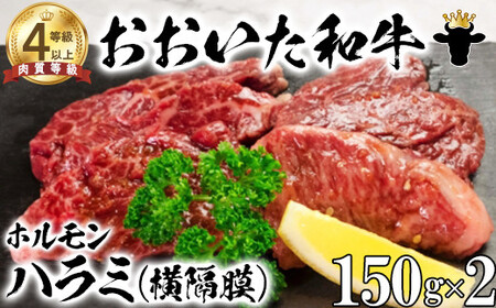 おおいた和牛 ホルモン (ハラミ 150g×2)【ニード牧場】 高級 国産 ブランド 横隔膜 黒毛 和牛 豊後牛 受賞 バーベキュー 九州 大分県 ＜129-022＞