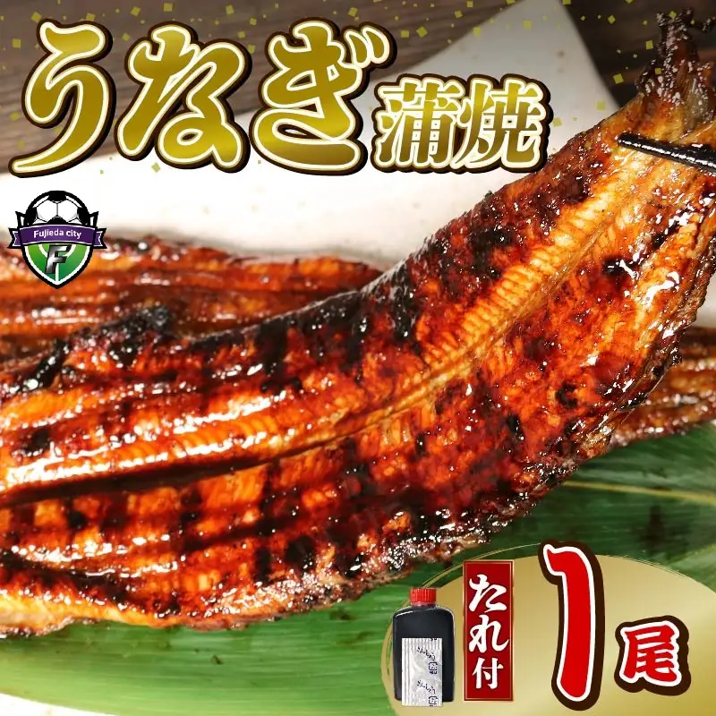 【訳あり】 うなぎ 大姿焼き140g 1尾 鰻 鰻