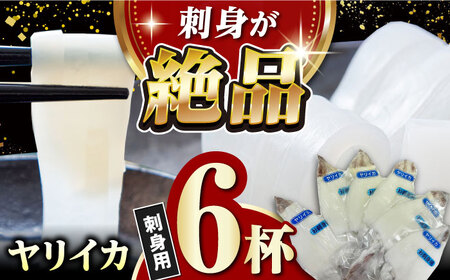 対馬産 ヤリイカ 刺身用 6杯 冷凍配送 小分け いか 新鮮 海鮮 冷凍配送 [WCS003]