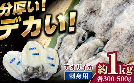 イカの王様！ アオリイカ 刺身用 約1kg（2ー3枚入）  高級 肉厚 水いか 新鮮 海鮮 冷凍配送  [WCS004]