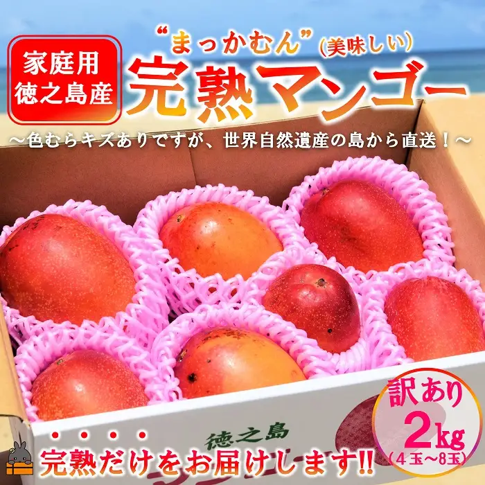 ≪今が旬！≫訳あり！【家庭用】徳之島産完熟マンゴー2kg（4～8玉）フルーツ わけあり 訳あり 果物
