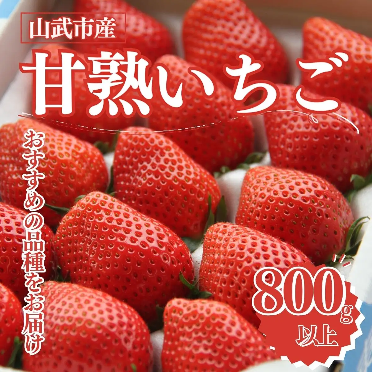 【先行予約】【1月から発送】山武市産 甘熟いちご 800g以上 おすすめの品種をお届け ／ふるさと納税 いちご イチゴ 苺 果物 くだもの フルーツ 旬のくだもの 季節のフルーツ 千葉県 山武市 SMB001
