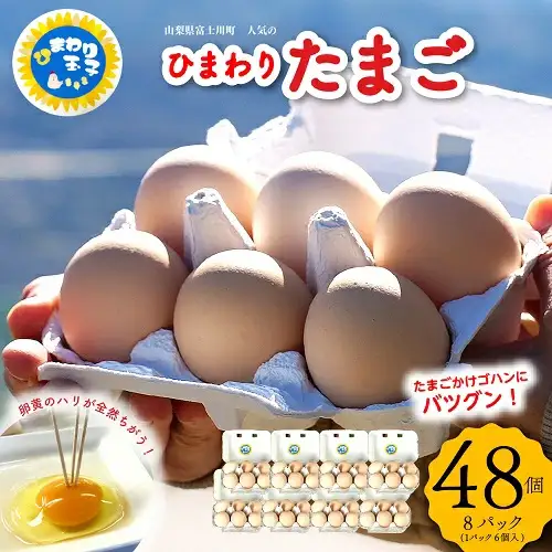 【パルシステム山梨採用】エサにこだわって育てたひまわりたまご ４８個（６個入りパック×８パック）  紅白たまご たまご 卵 玉子 タマゴ 鶏卵 新鮮 小分け パック 国産 贈答 おすそ分け 人気 たまごかけご飯 ふるさと納税限定