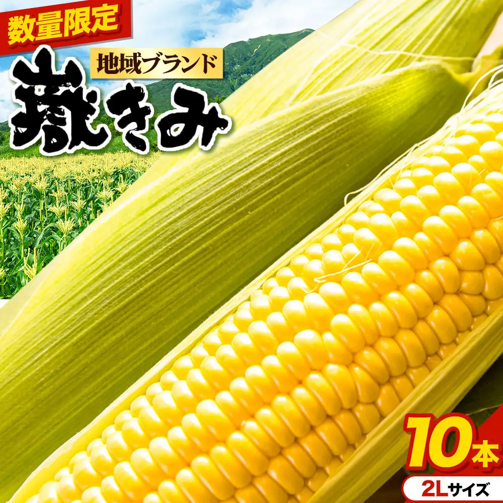 とうもろこし 嶽きみ（だけきみ）2Lサイズ 10本【8月中旬～クール便発送】